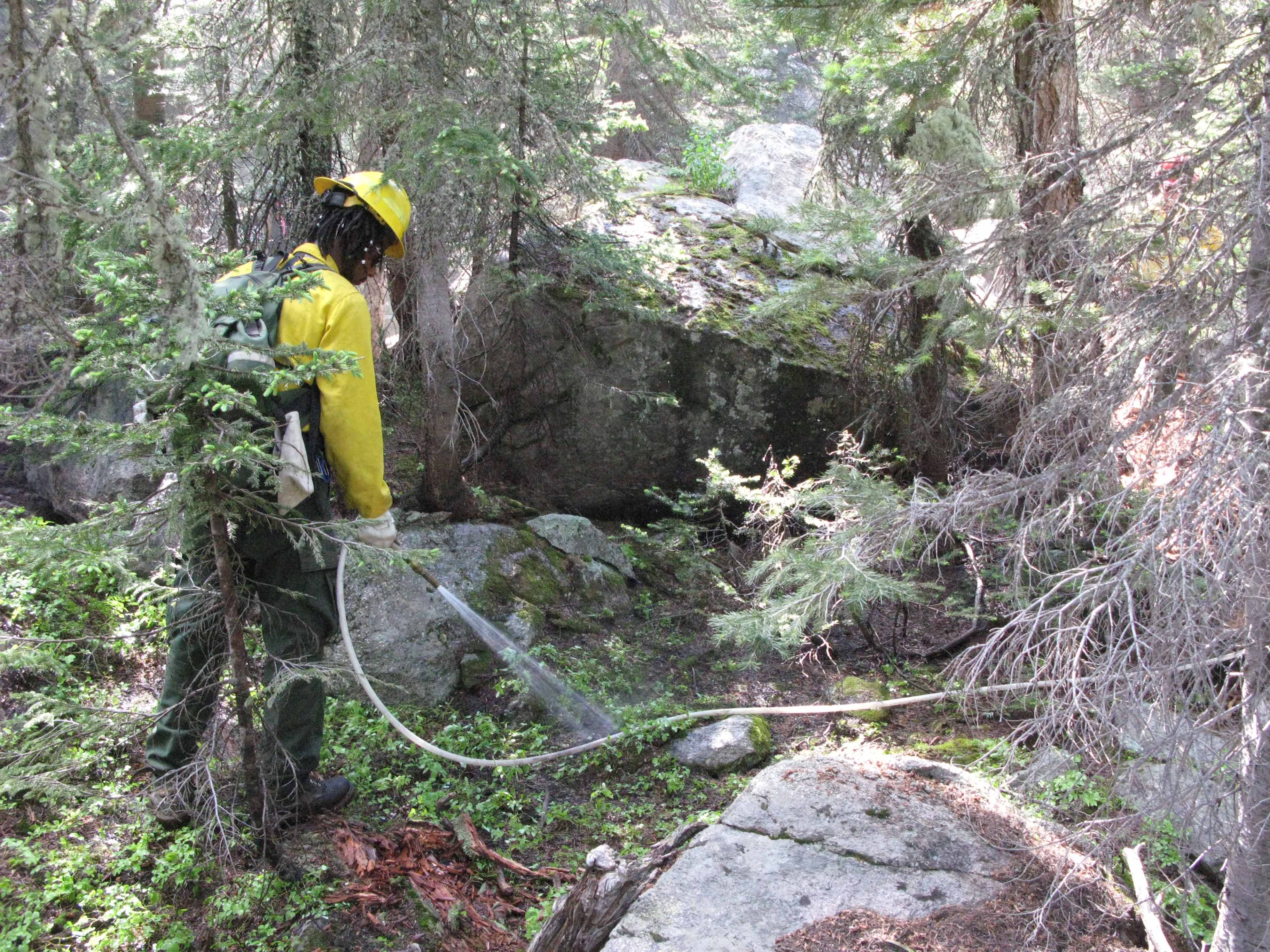 Spraying water on smoldering duff on Spruce Fire (2)