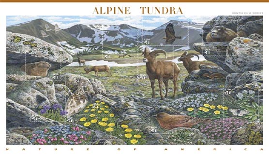 Photo of Alpine Tundra Stamp
