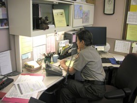 Ranger Diane working hard in the park's Information Office.