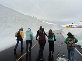 Photo Backcountry Office staff hike Trail Ridge Road with 20-foot plow cuts