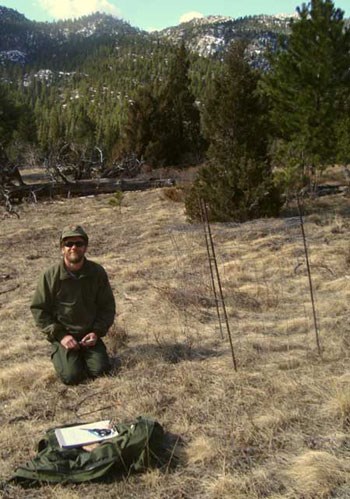 Photo of a crew member surveying an upland herbaceous plot in Cow Creek.