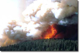a photo of the 1988 Yellowstone Fire