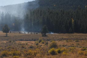 Photo prescribed burn in Horseshoe Park October 2007