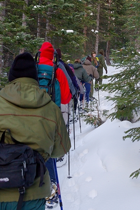Park visitors enjoying a guided showshoe walk with a ranger. 