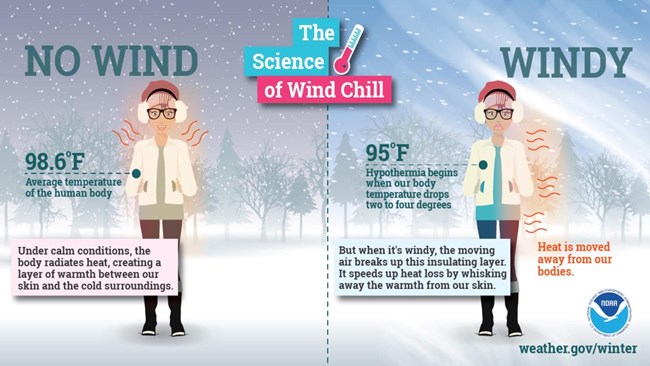 NWS Graphic showing how wind chill impacts the body.