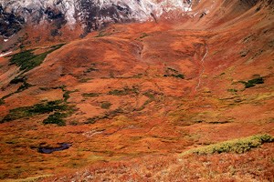 Alpine tundra in autumn