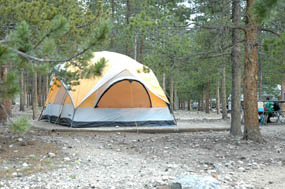Photo tent site in Glacier Basin Campground