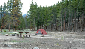 Photo tent site in Glacier Basin Campground