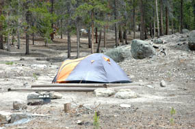 Photo tent site in Glacier Basin Campground.