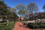 20 park, early spring