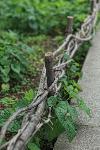 25 Woven fence