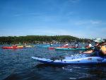 08 many boats