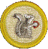 Mammal Study Patch
