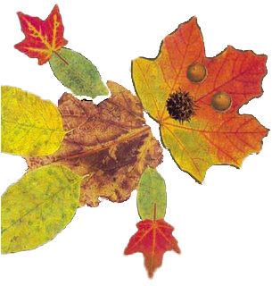 Leaf Man