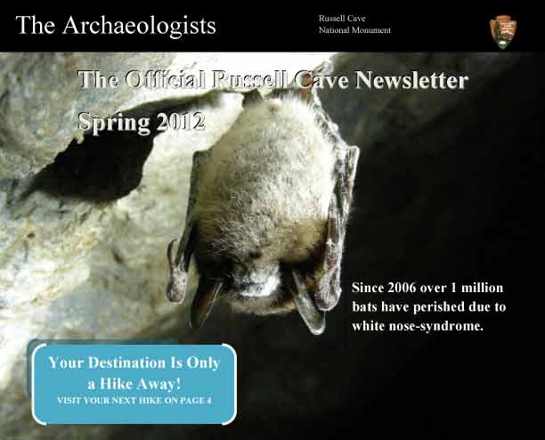 The Archeologists 