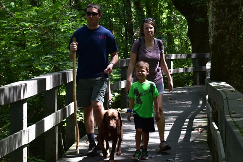 Family hikes with leashed dog