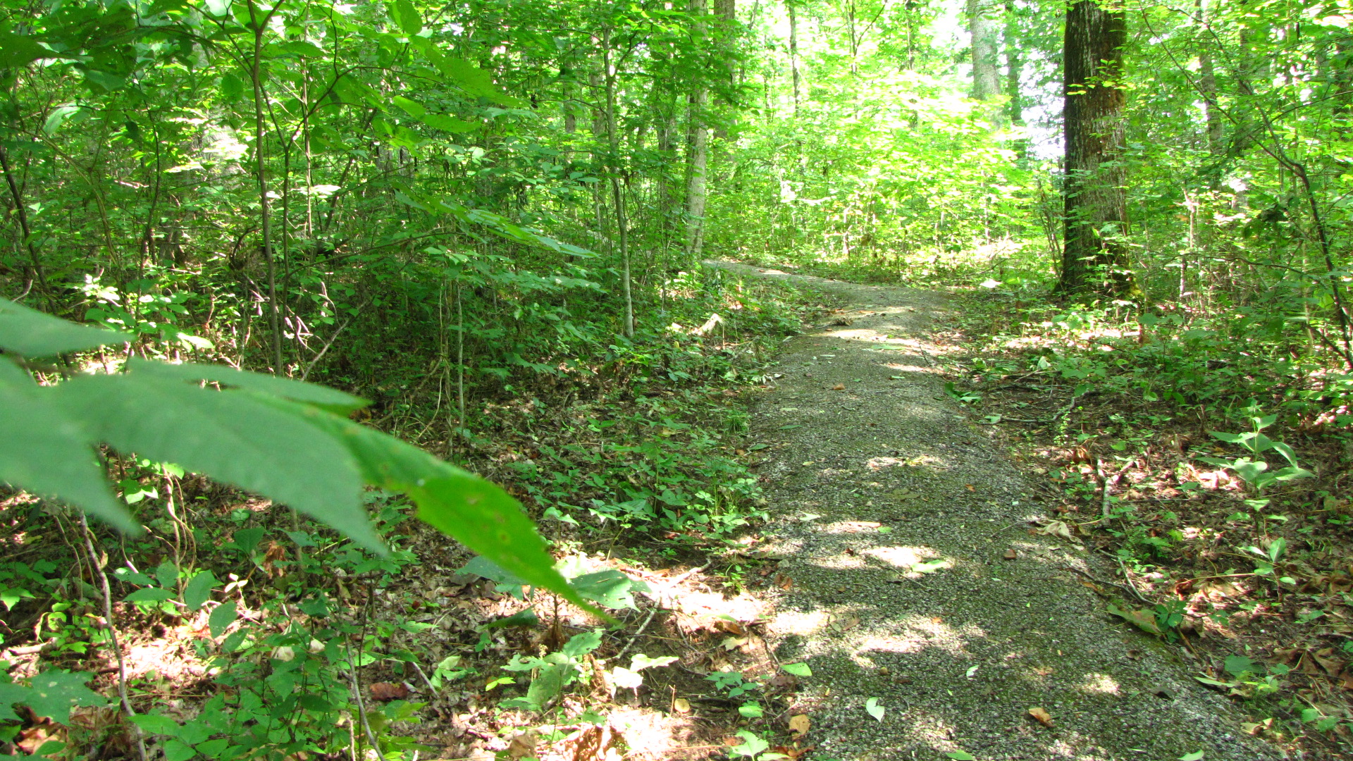 Hiking and Nature Trail 
