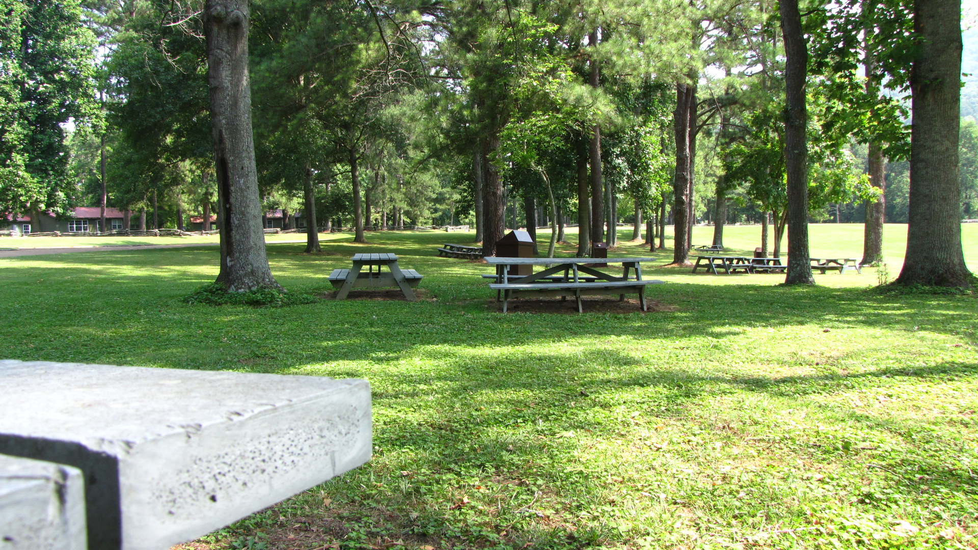 Picnic Area 