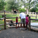 Family working on Junior Ranger activity