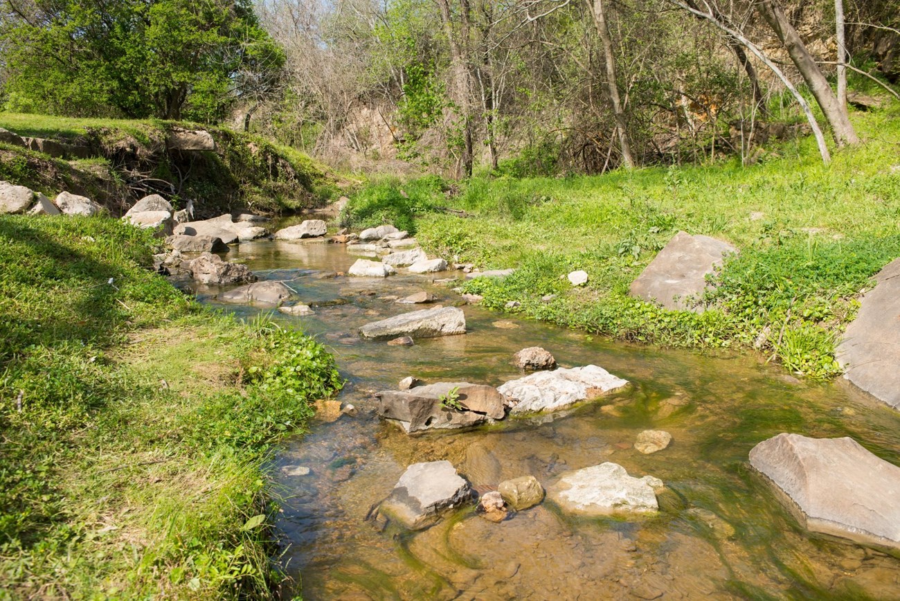 Creek and Rocks