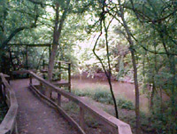 An accessible trail meanders through the forest from the mission to the San Antonio River.