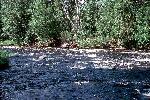 Big Fish Trap Rapids