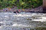 Kayak Competition