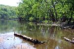 Flood Plain Island