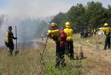 Three firefighter in yellow and green stand on the edge of a burnt smoky area with rakes and flappers.