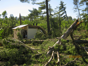 Broken trees surround and are on top of the vault toilet at Riverside landing