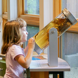 A girl getting her hands on a rotating cylinder filled with amber water and sediment. 