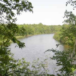 View of a blue river through green leafed trees. 