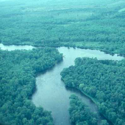 An aerial view of the confluence of the Namekagon and St. Croix Rivers in the green forest.