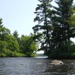 A bend in the river with a boulder in the water and green trees on the banks. 