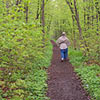Hiker in the woods