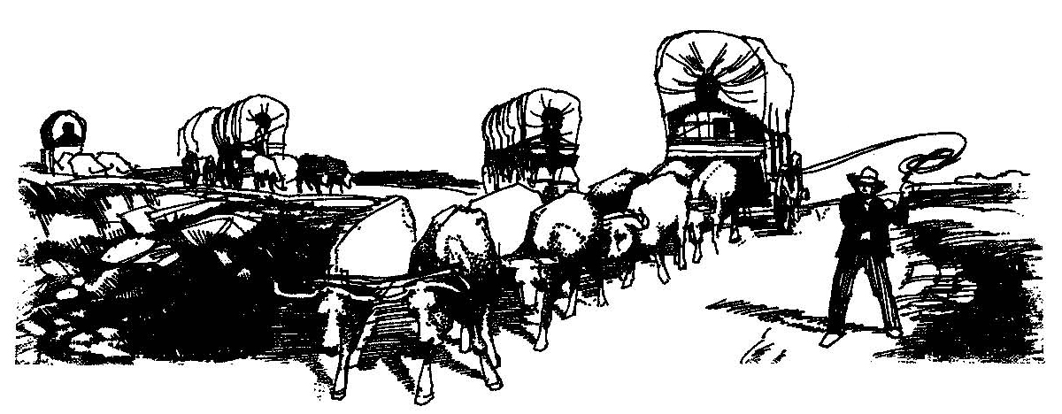 CMP black and white drawing
