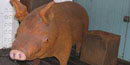 A brown pig carved out of wood.