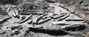 More than one dozen ship timbers are revealed after an excavation.