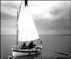 A little too calm; breaking out the oars. A little too calm; breaking out the oars.