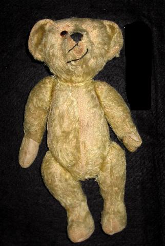 Teddy Bear (SAFR 6236)