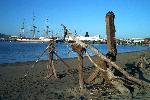 Driftwood art on the beach at Aquatic Park lagoon.