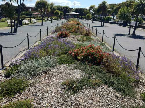 A native plant garden in Aquatic Park.