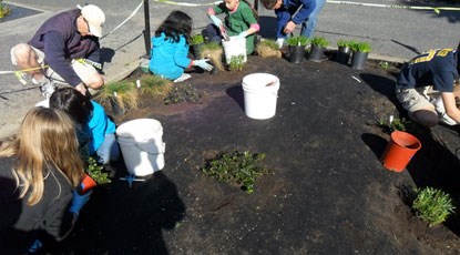 Elementary school children planting California native plants at the park.