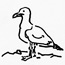 A black and white line drawing of a gull by Inge Wessels.