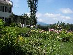 Flower Garden and Aspet