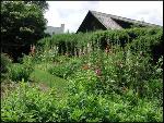 Cutting Gardens