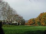 Great Lawn and Birch Allee