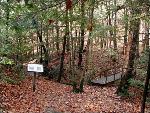 Blow-Me-Down Trail