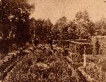 Formal Gardens