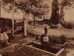 Pan Pool